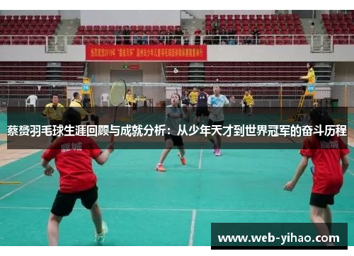 蔡赟羽毛球生涯回顾与成就分析：从少年天才到世界冠军的奋斗历程