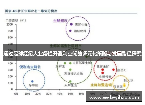 通过足球经纪人业务提升盈利空间的多元化策略与发展路径探索