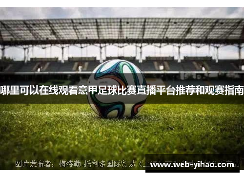 哪里可以在线观看意甲足球比赛直播平台推荐和观赛指南