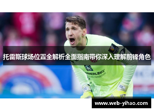 托雷斯球场位置全解析全面指南带你深入理解前锋角色